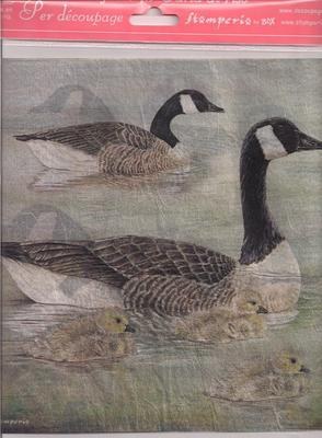 DFT021 Canadian Geese Decoupage Tissue Paper 