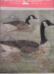 DFT021 Canadian Geese Decoupage Tissue Paper x 2 sheets
