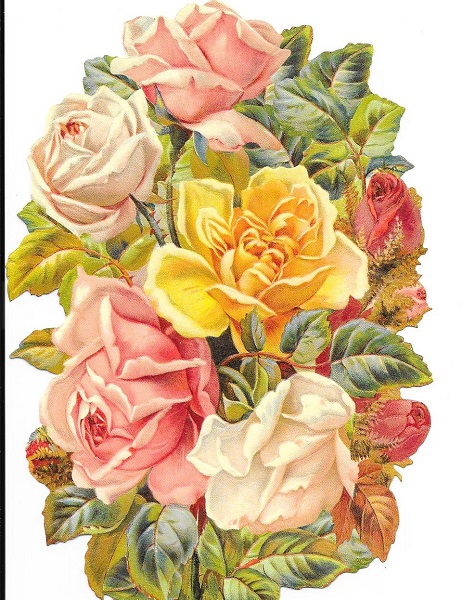  5002 - Flower Rose Roses Bouquet Scrap