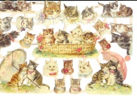 7415 - Cats Kittens Baskets Cat Kitten