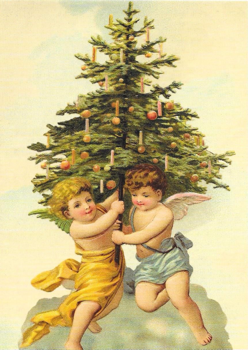 Christmas Tree Angel Angels Cherub Post Card 3009