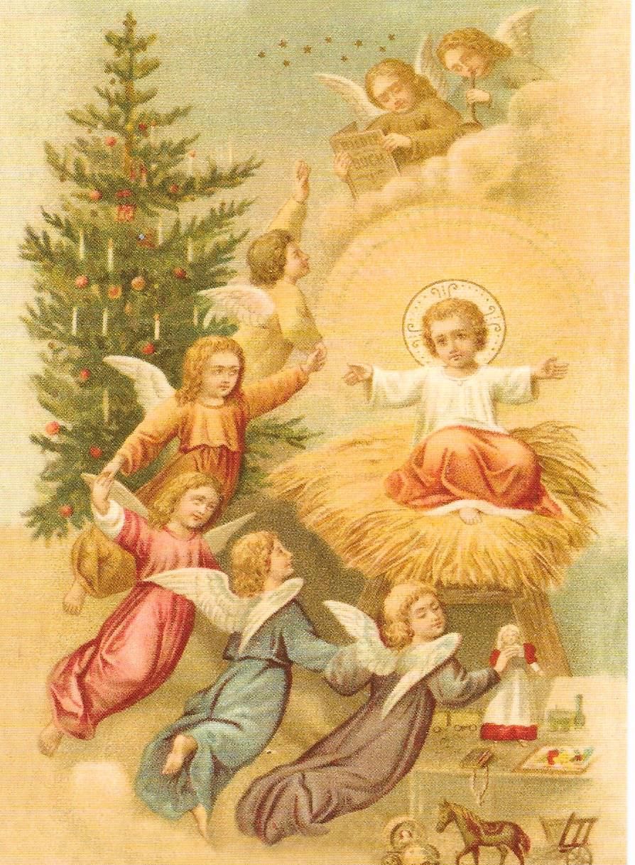 Christmas Tree Angel Angels Cherub Post Card 3009