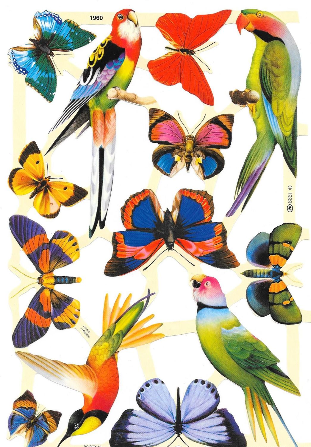 1960 Butterfly Butterfly's Parrot Exotic Birds 