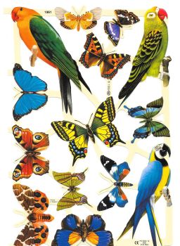 1961 Butterfly Butterfly's Parrot Exotic Birds