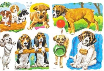 1544 Puppy Dog Puppy Dogs 