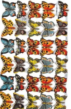 1761 Butterfly Butterflys 