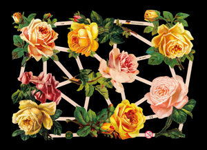  7346 - Tea Rose Roses Flowers Bouquets