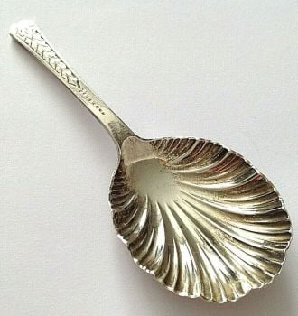 Antique shell silver caddy spoon hallmarked Sheffield 1885 Cooper Brothers