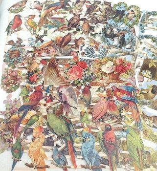 Set 15 : Exotic & Garden Birds x 10 Sheets Victorian & Vintage style scraps lithographs 