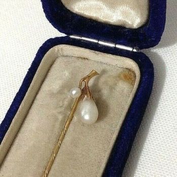 Antique Edwardian 14ct gold pearl snowdrop stick pin in jewellery display box 