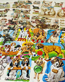 Set 1 : German Lithograph Embossed Scrap Set x 8 sheets Dogs Puppys Cats Kittens