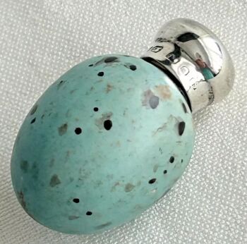 Antique Bird egg scent perfume bottle hallmarked top reg no Victorian Worcester