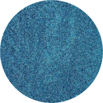 No: 31 Dolphin Barbara Trombley Art Glitter