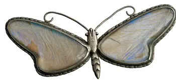 Antique brooch pin sterling silver butterfly wing under glass