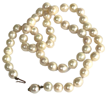 Creamy white pearls pearl necklace 9ct gold ball clasp bead beads knotted