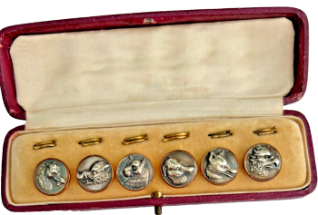Antique hunting or livery buttons menagerie of animals fox eagle horse boxed