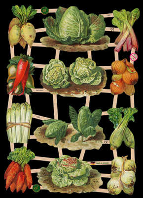  7383 - Cabbage Carrot Leek Vegetables