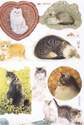 1815 - Cats Kittens Persians Hearts