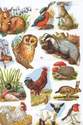 1563 - Wild Animals, Owls & Badgers
