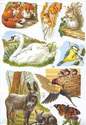 1562 - Wild Animals, Foxes & Swans