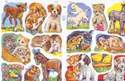 1488 - Puppies, Baby Animals, Foals & Kittens