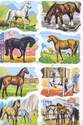 1531 - Horses Ponies Carts Shires