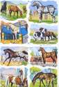 1532 - Horses Ponies Carts Shires