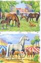 1533 - Horses Arabs Ponies