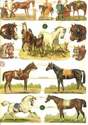 7322 - Horses Racehorses Racing Stud Red Rum