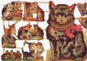 7214 - Cats Kittens Felines