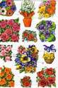 1579 - Flowers Pots Baskets Posies Bouquets