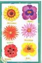 C5019 - Flowers Violas Gerberas Daisys Poppys