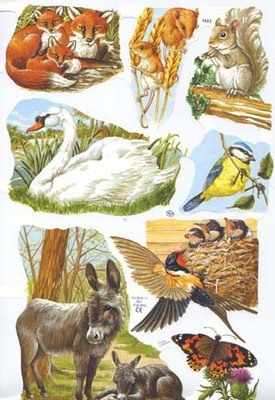 1562 - Wild Animals, Foxes & Swans