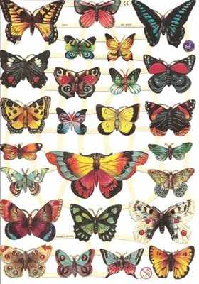 7324 - Butterfly Butterflys Flutterbys