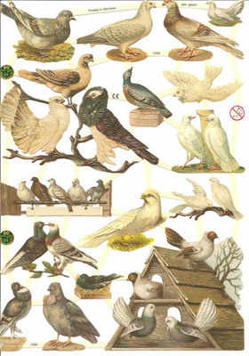 7299- Birds Dove Cote Decoupage Scrap