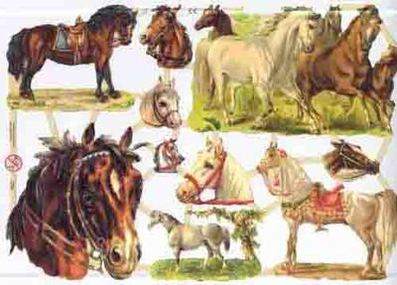 7236 - Plough Horses Ponies Shires Cobs