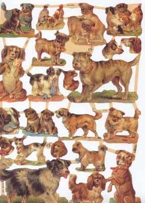 7213 - Dogs Puppies Breeds Pedigrees