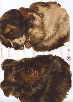 7275 - Dog Dogs St Bernard Collie