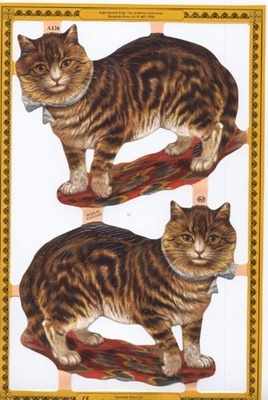 a126 - Cats Tortoiseshell Tabby House
