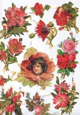 7102 - Flower Fairy Fairies Roses Carnations