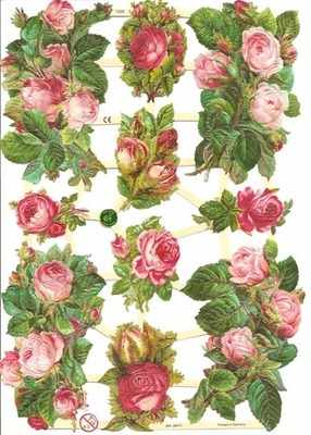 7328 - Pink Rose Roses Flowers