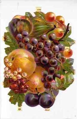  a104 - Fruit Grapes Plums Cherries Peaches