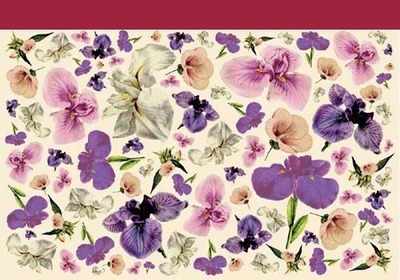 DFV043 - Purple Pink Yellow Iris Flowers