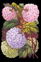 5083 - Flower Hydrangea Bouquet Scrap