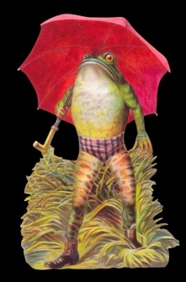  5120 - Frog Froggy Umbrella Scrap