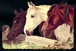  5012 - Horses Ponies Decoupage Scrap
