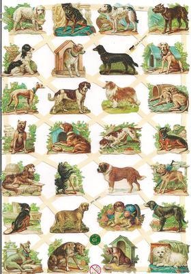 7337 Dogs Dog Breed Breeds