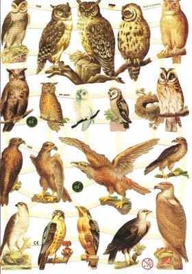 7333 - Birds Owl Owls Scrap