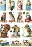 7360 - Cat Cats Kitten kittens