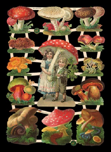 7355 - Toadstools Fairy's Mushrooms Magical